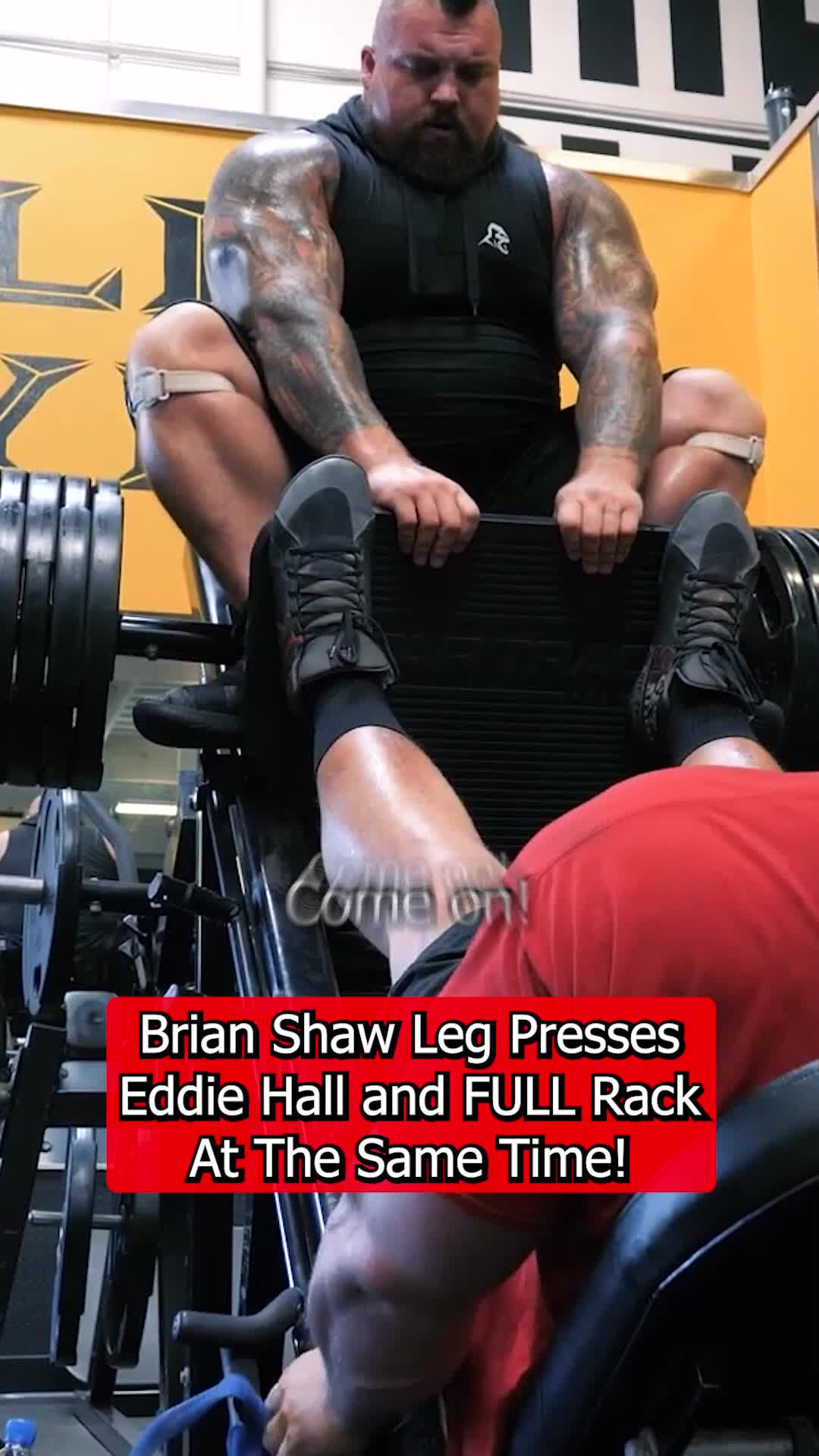 @Eddie Hall - The Beast