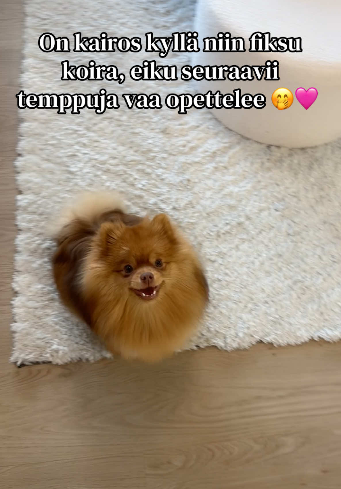 @Vimpulano