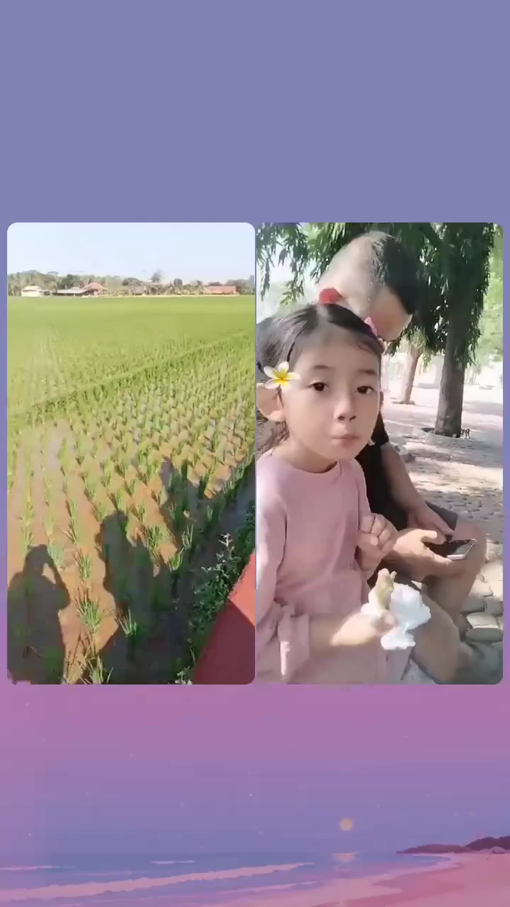 @🌺 🍁 ĂМĨ ŚŶĂŦĨŔĂ 🌺🍁