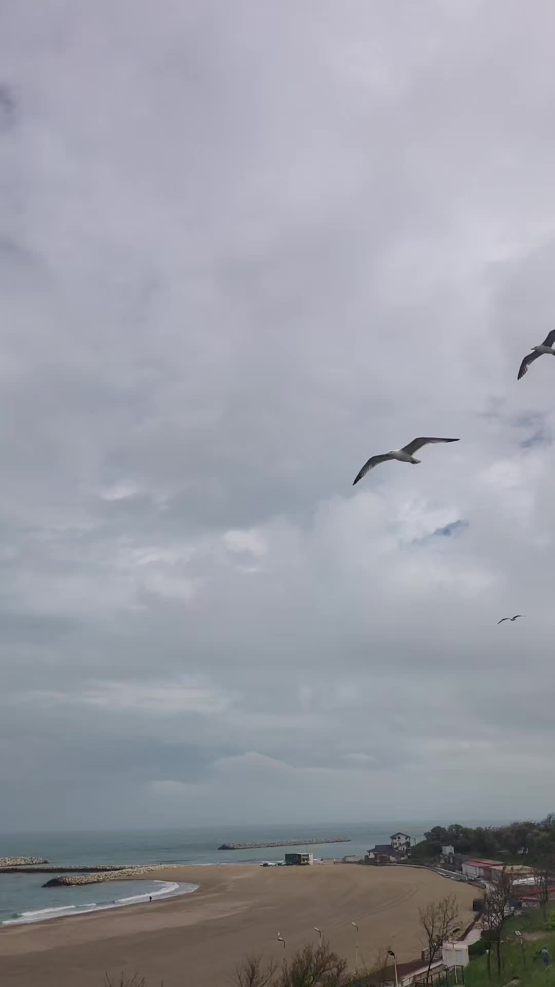 @🌊#