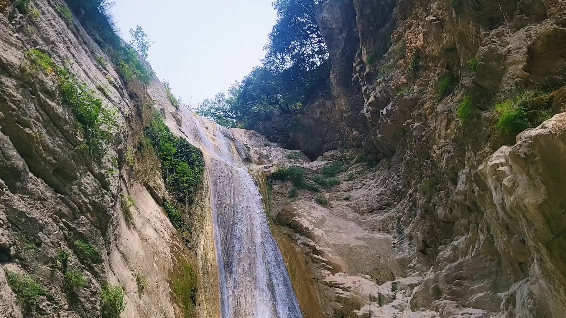 @tanya.shone