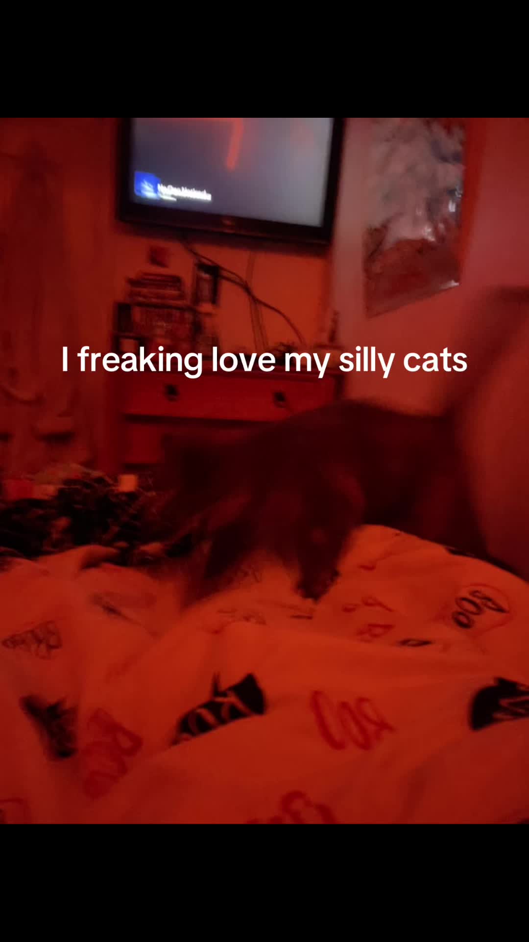 @🪼