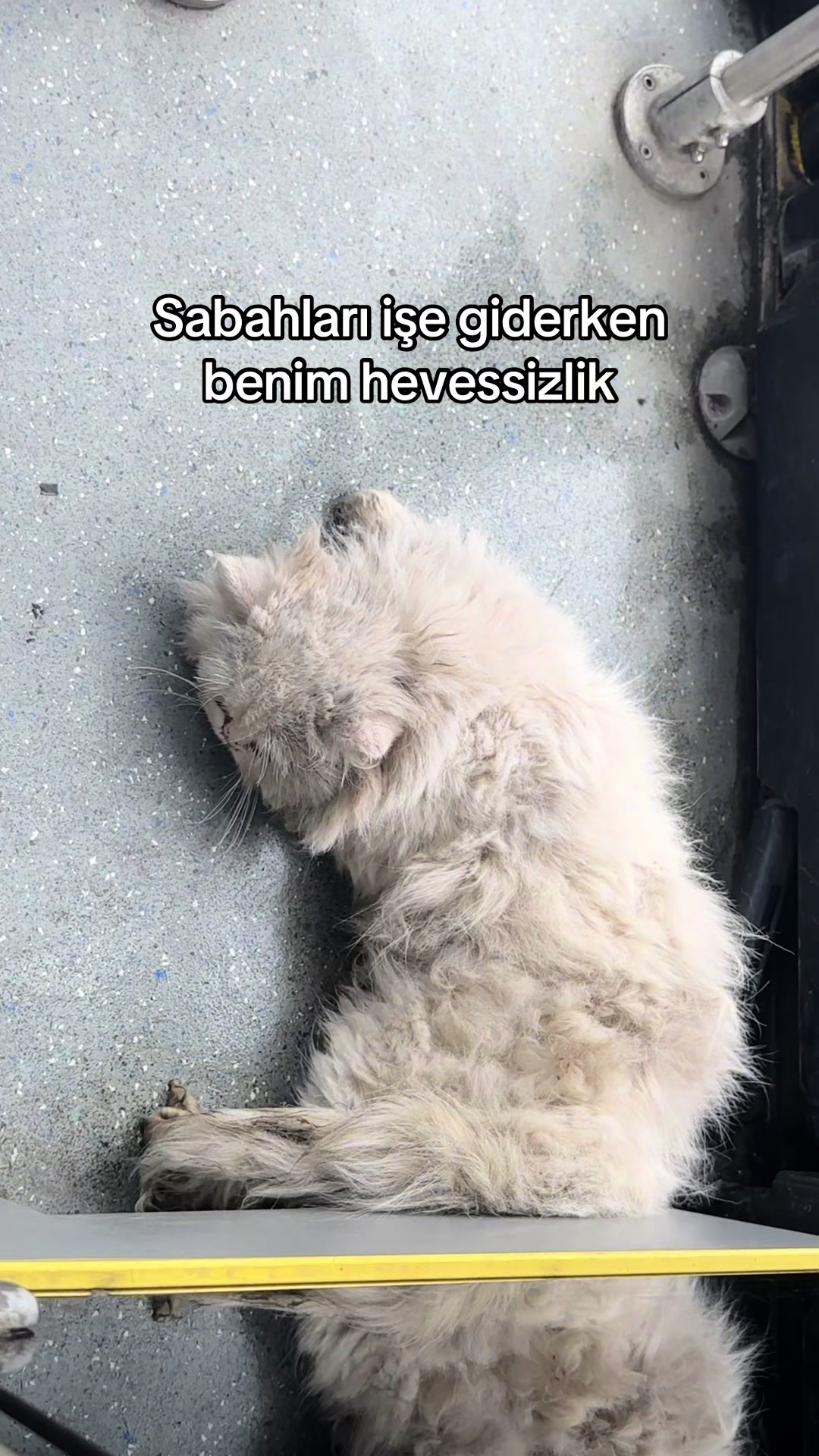 @bertan