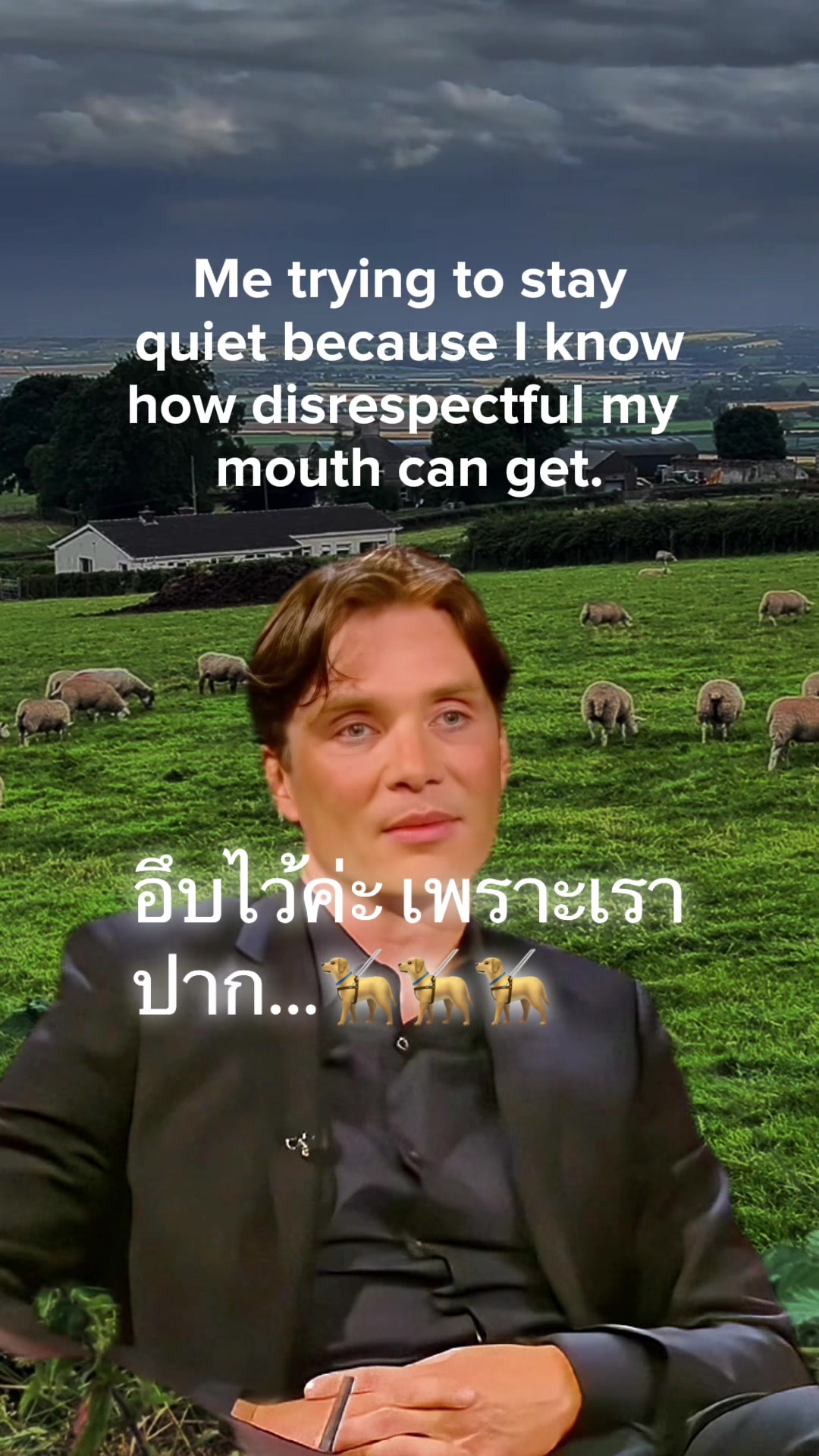 @Ann:)สาวไทยในไอร์แลนด์เหนือ