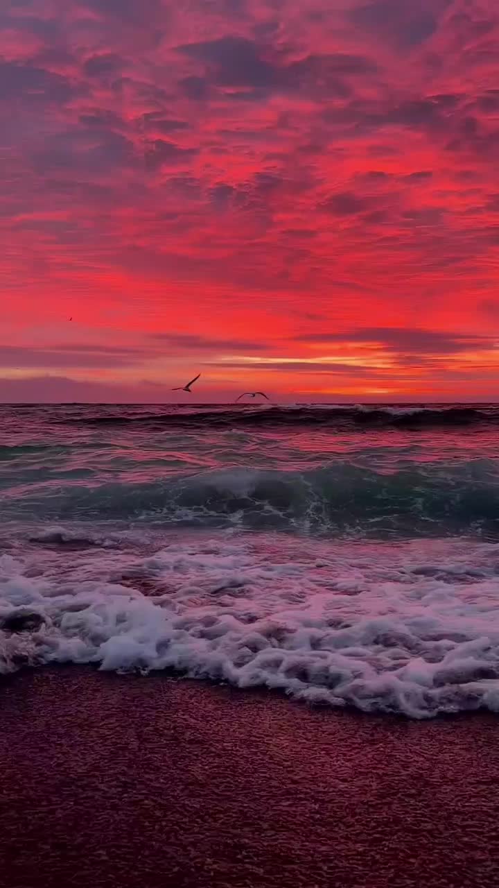 @IN RI 🖤🥀🍀🥀🖤