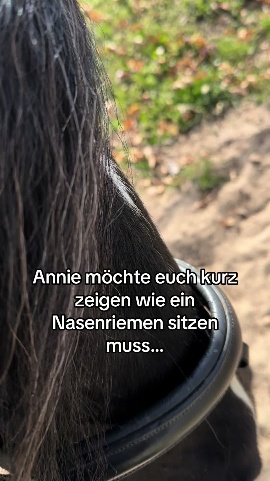 @Annie🦨& Marlene✨