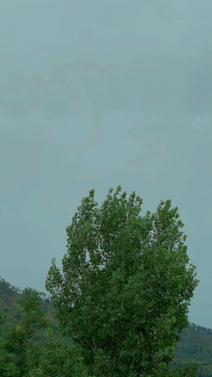 @سردار آہل★