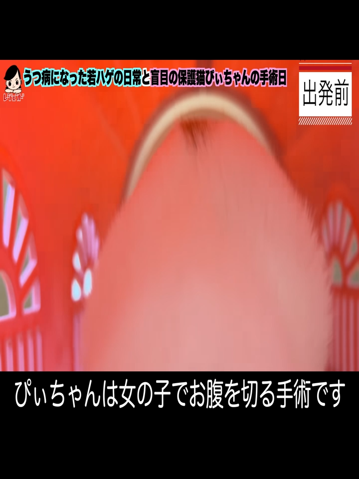 @user5062101516294