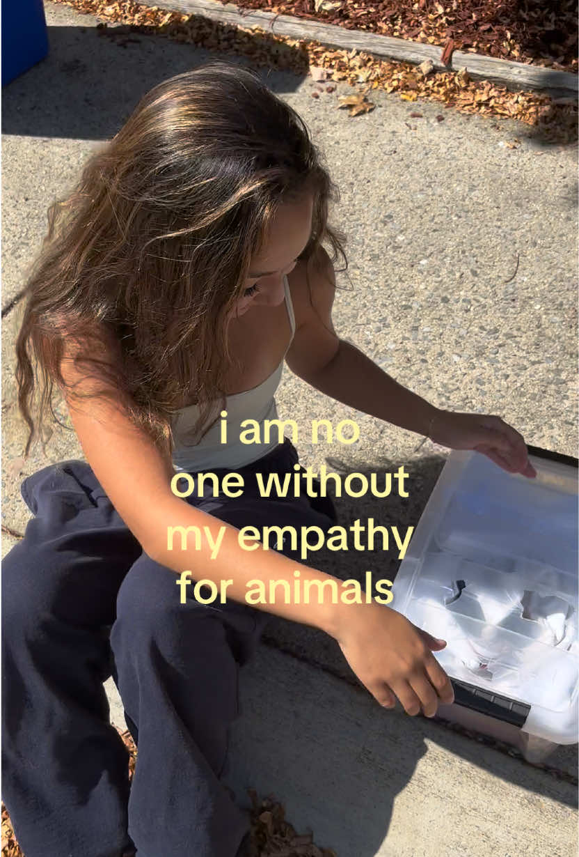 @vicky ayala