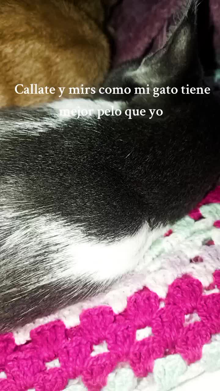 @•_•