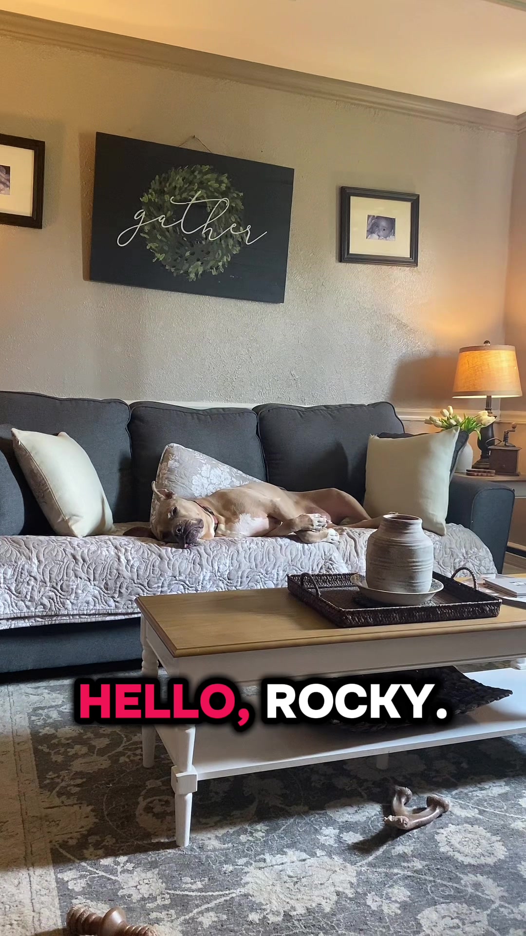 @Heather & Rocky 🐾💕