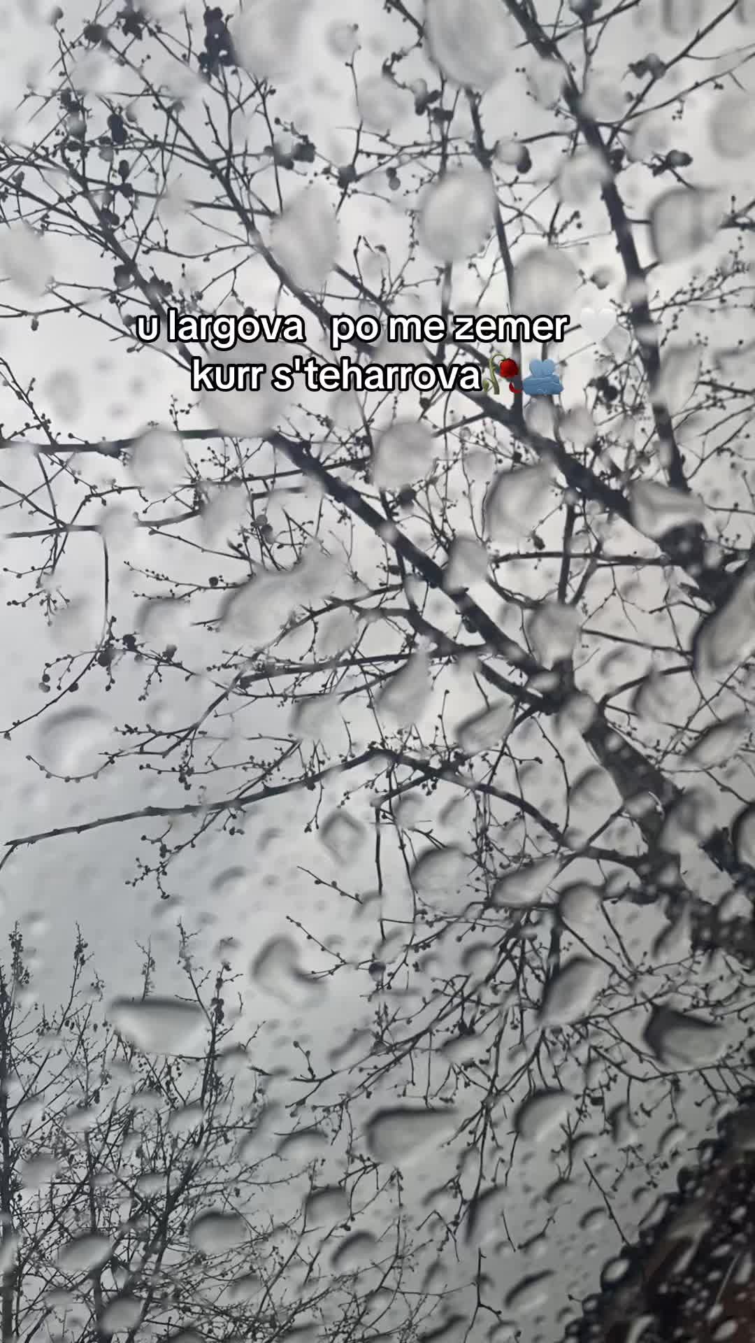 @zemra 🖤