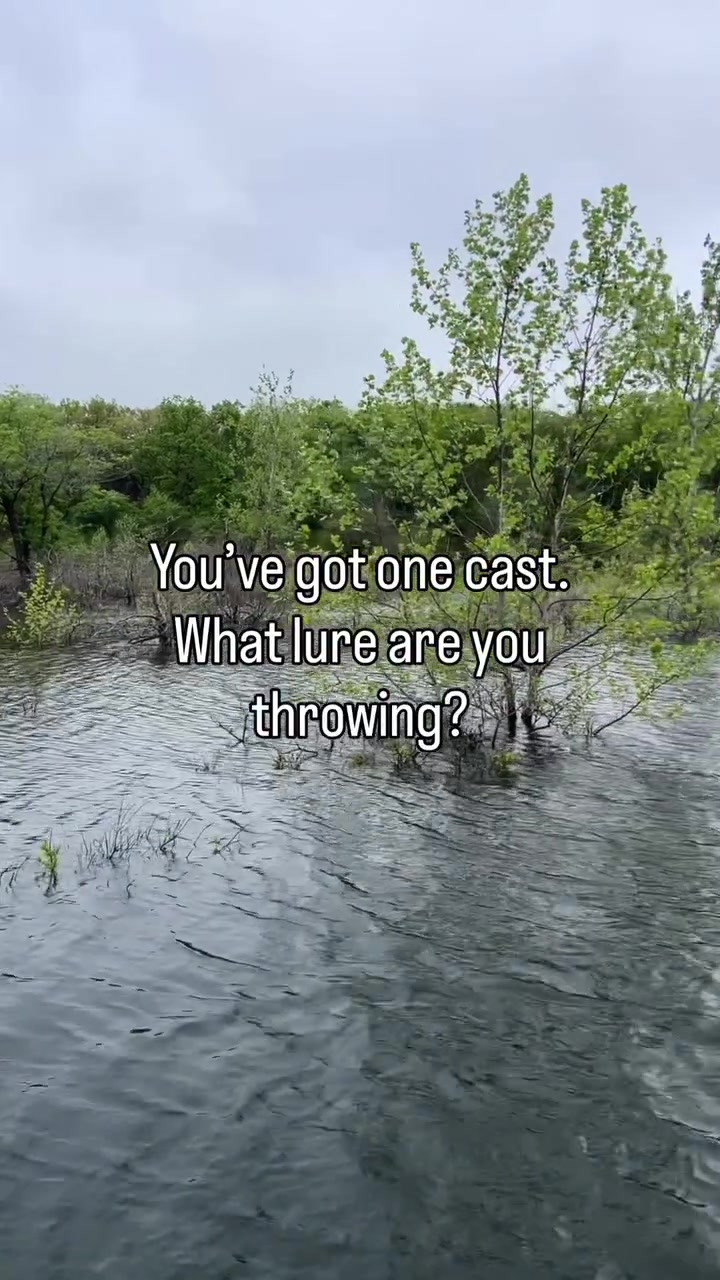 @Motion Fishing