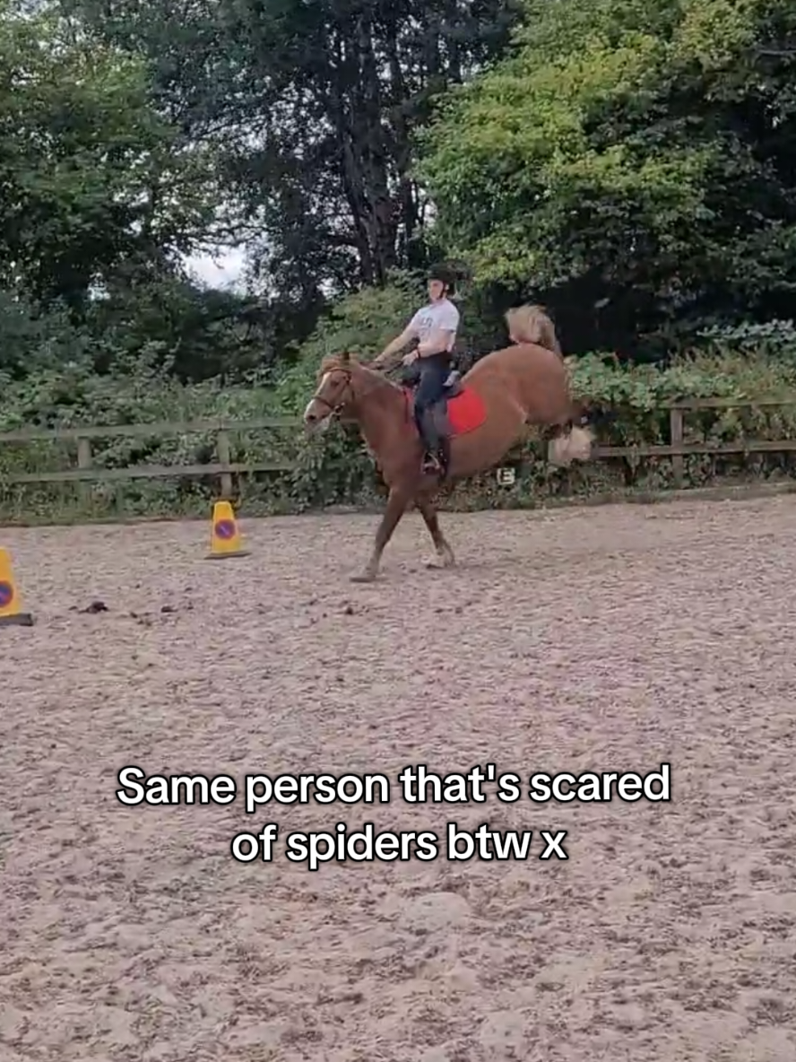 @Olivia 🤍