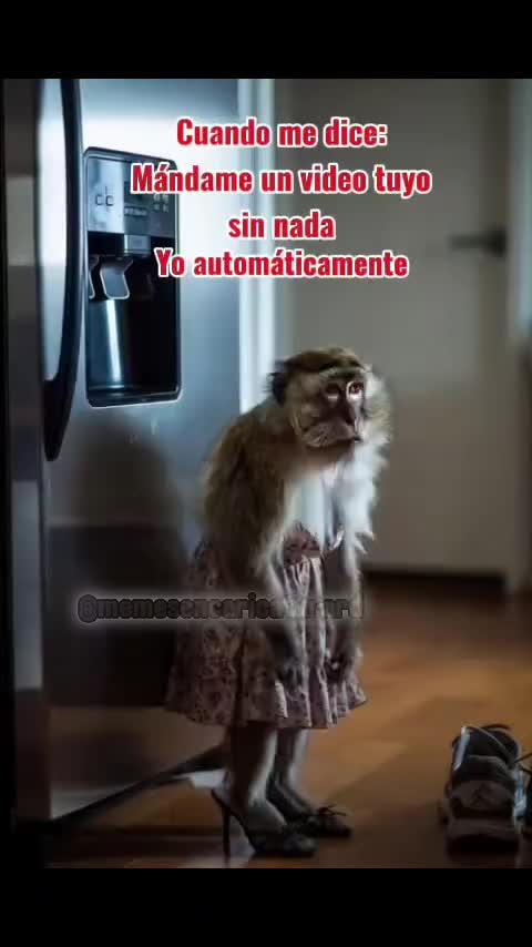 @luz23🇻🇪 🇪🇸