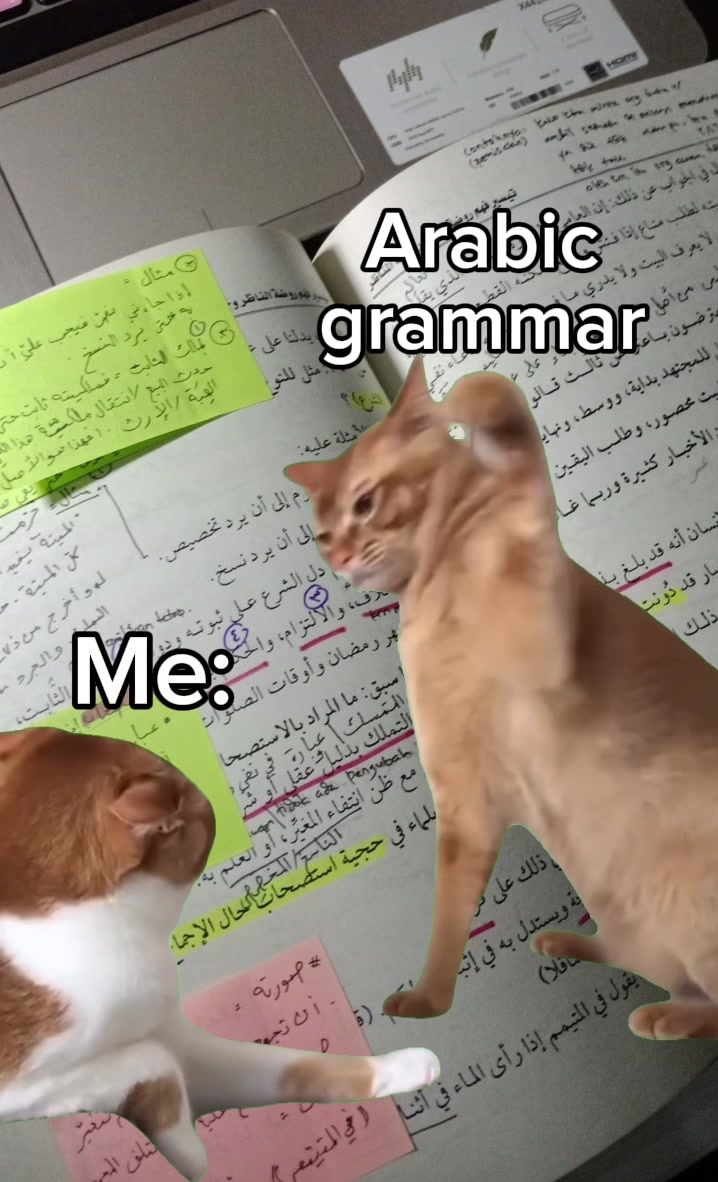 @The Safeer Arabic School