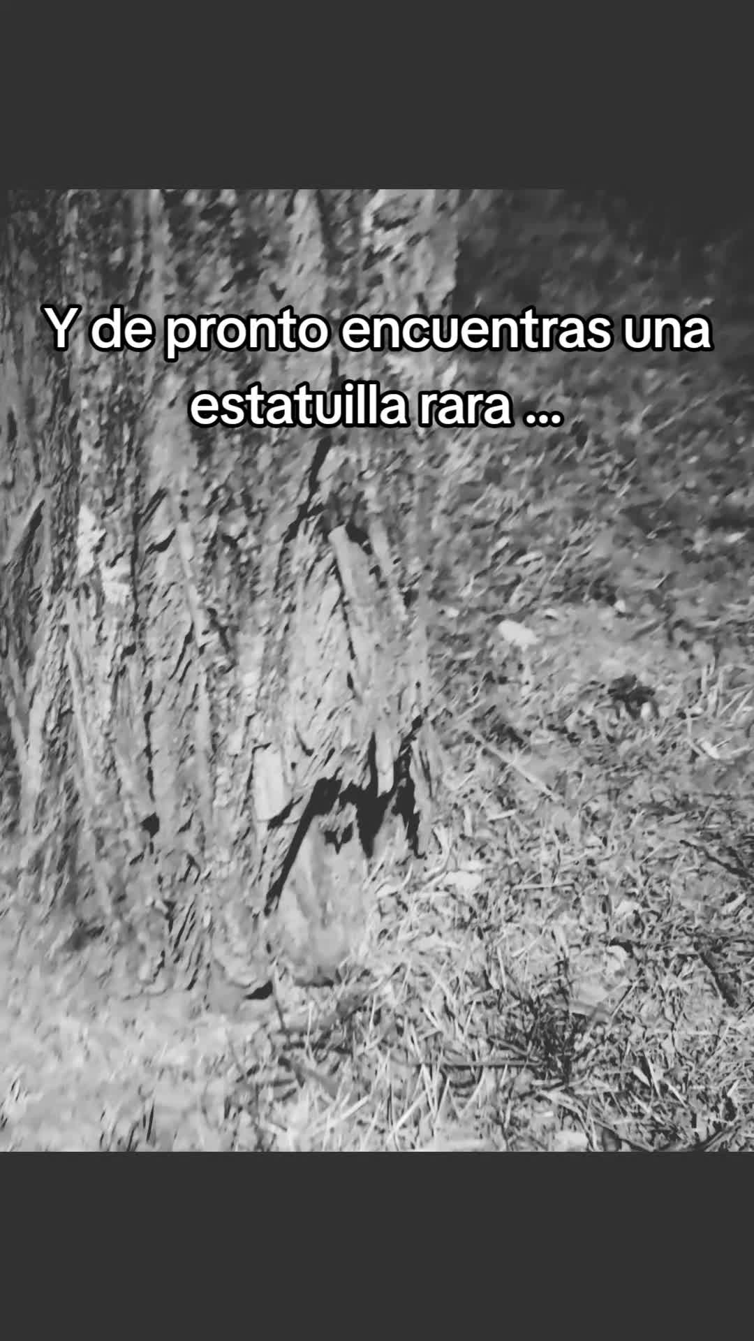@María Druida Talis