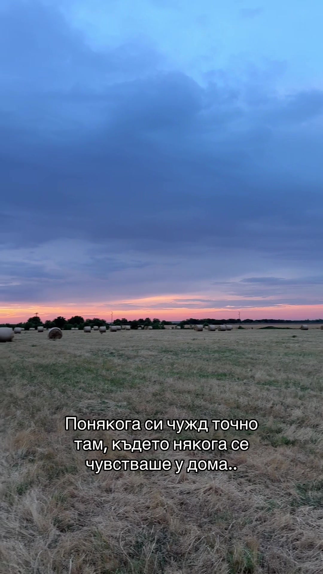@IvkoVision