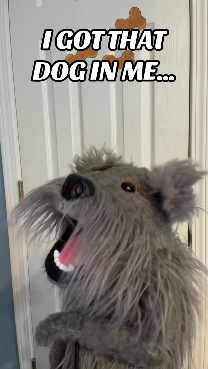 @PuppetTakeover
