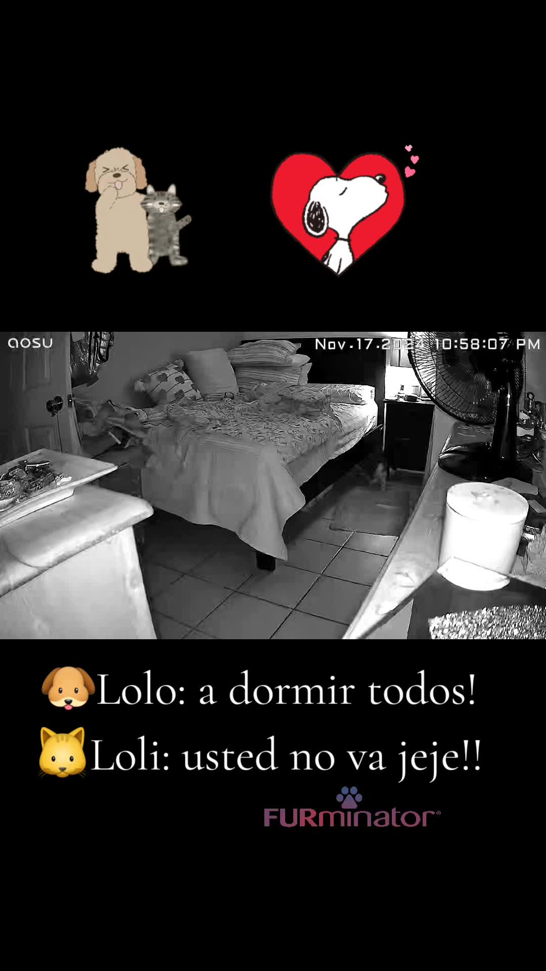 @lolis_amor❤️🔥