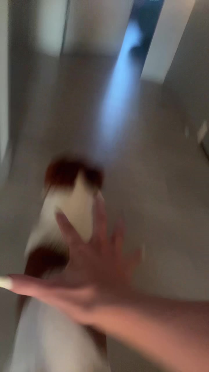 @Toryy339