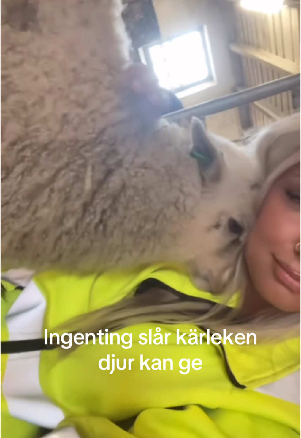 @mayaeskils