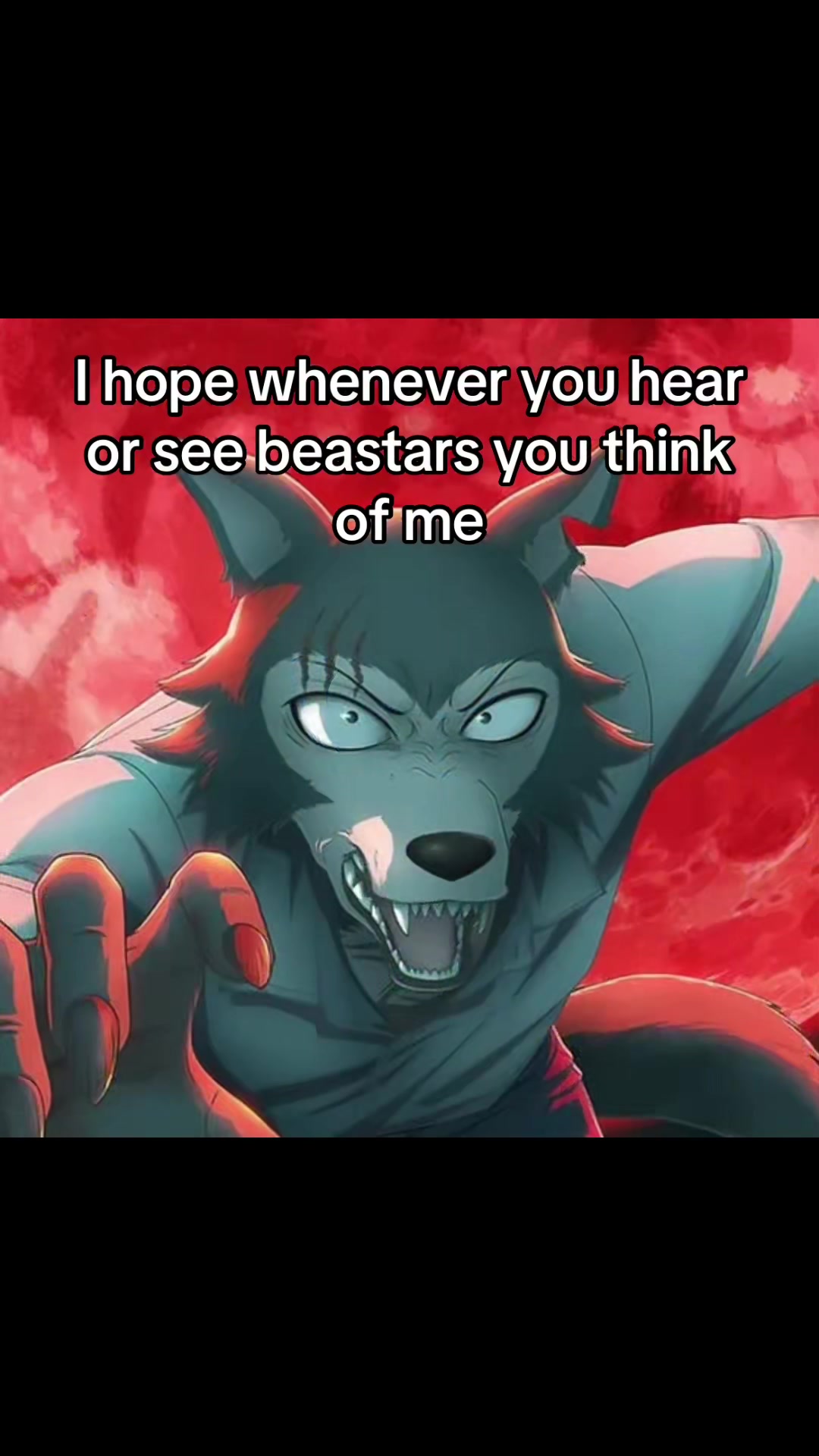 @|🐾 &bull; ( 🦴 レゴシ 🦴 ) &bull; 🐺|