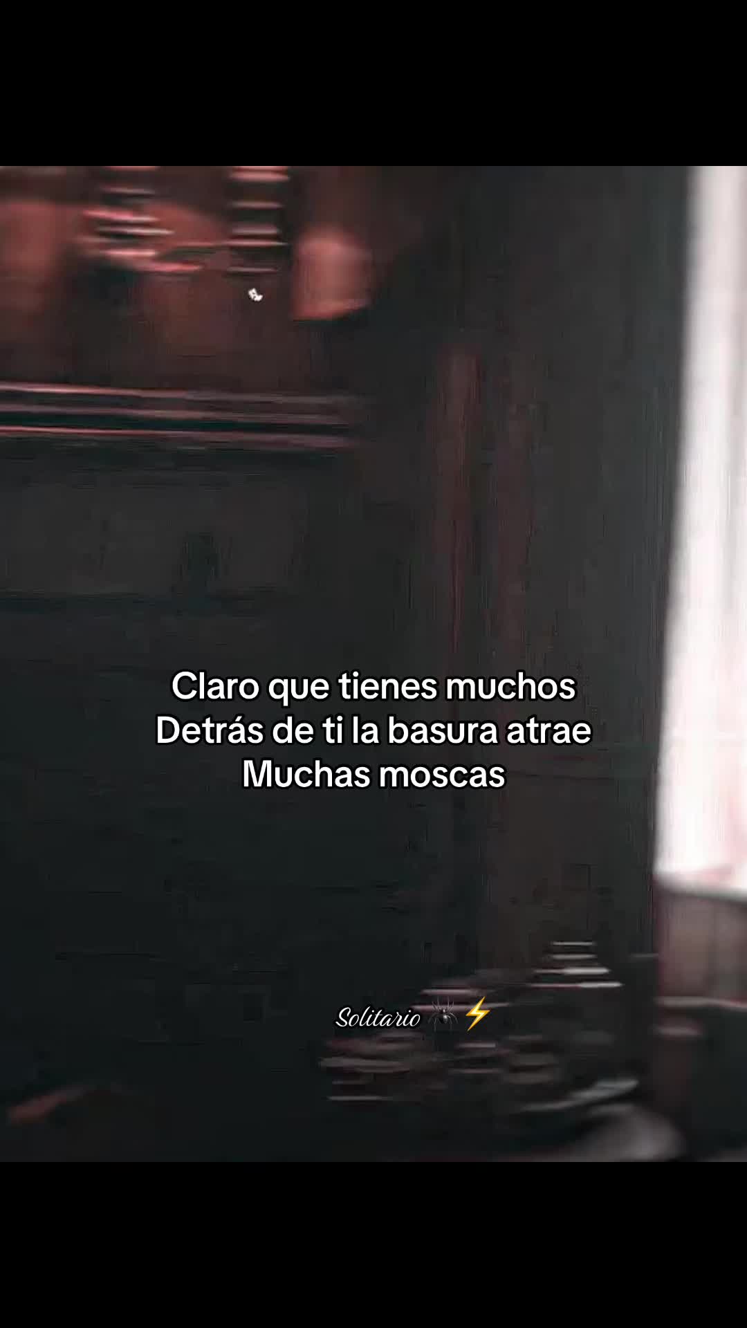 @Solitario 🕷️⚡️