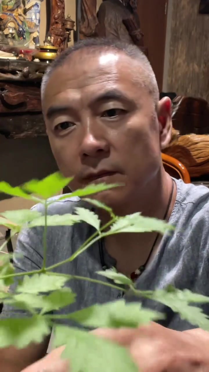 @后街&middot;影帝