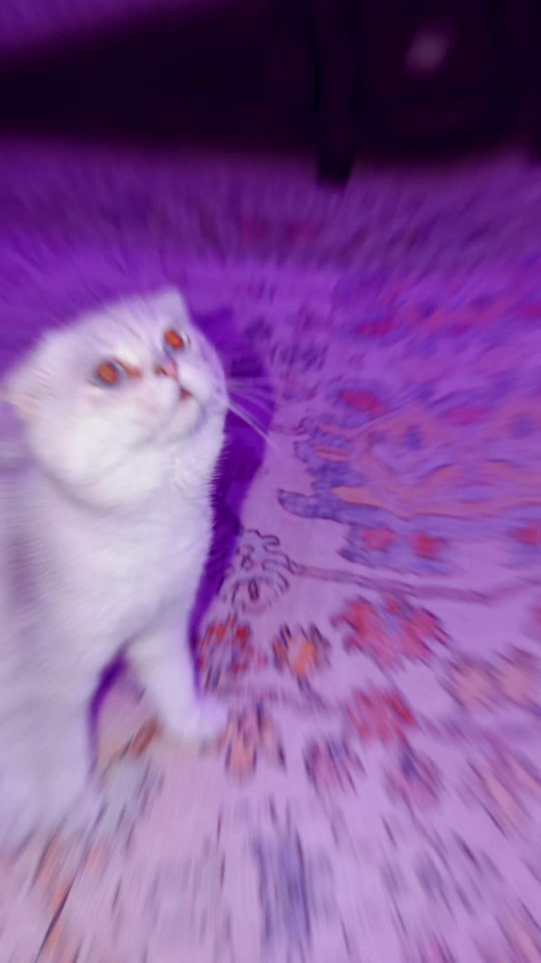 @🤎𝓐𝓶𝓸𝓸𝓻𝓪 🤎