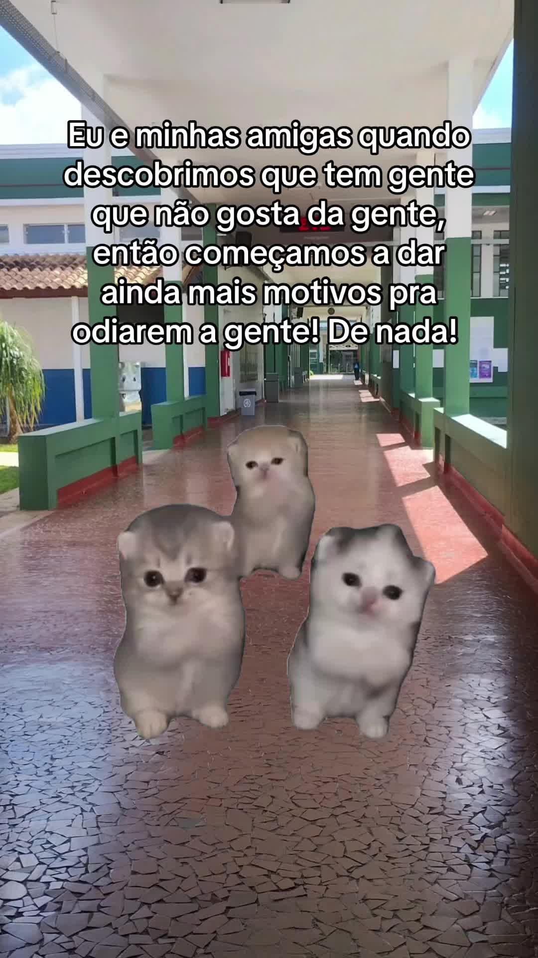 @tababadeira