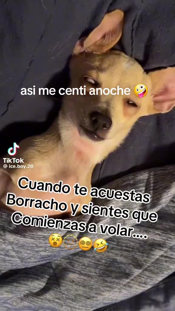 @💞💞 la Culichi💞💞