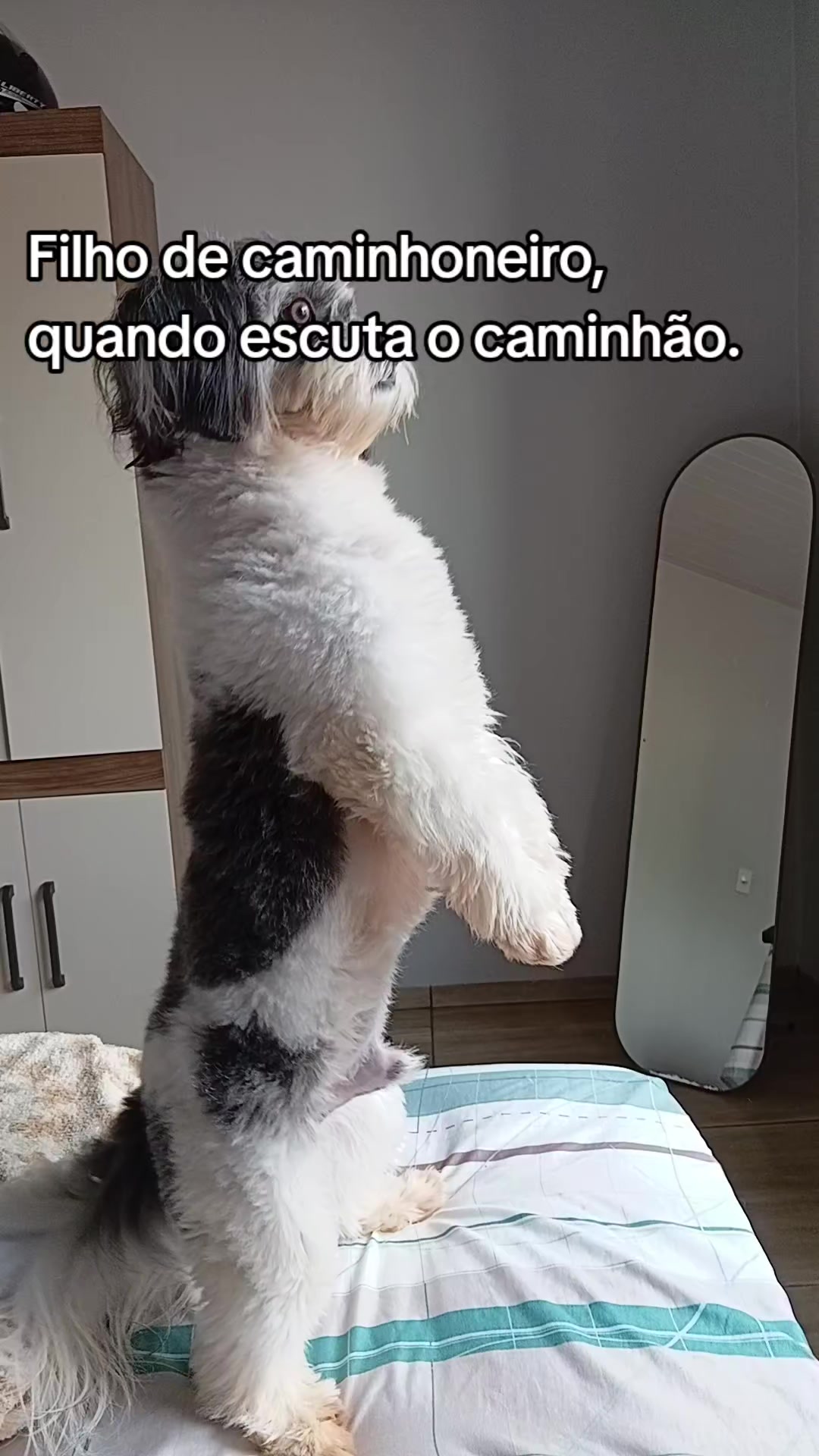 @Nathalia Holanda