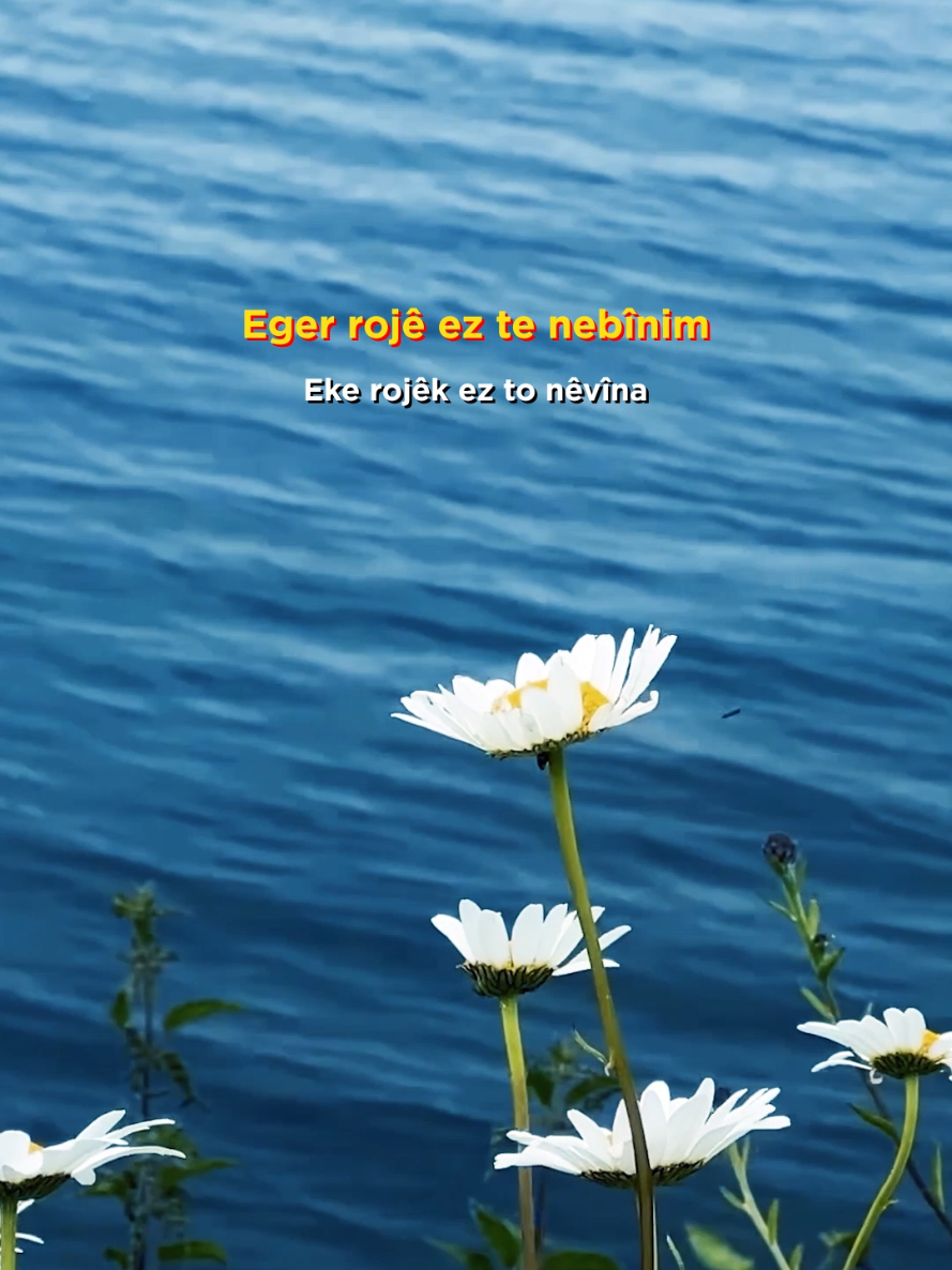 @Mehmet Atlı
