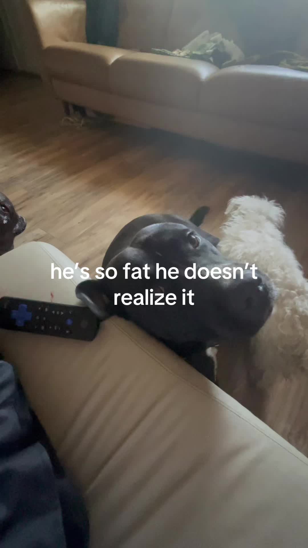 @nano