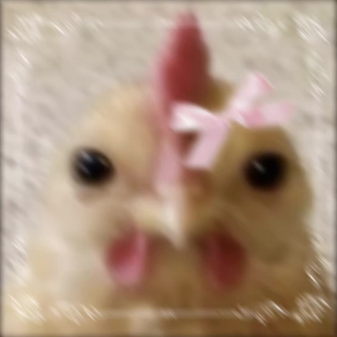 @🐓chickens number 1 fan 🐓