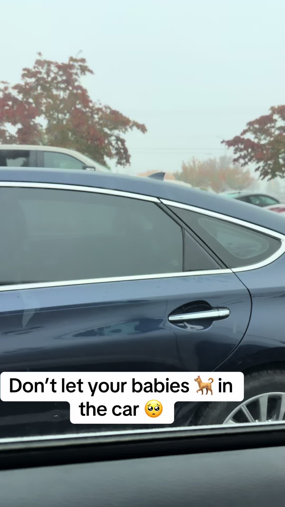 @EJ Llaverias