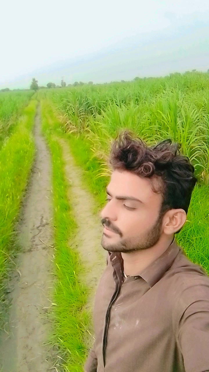@shabaz ali