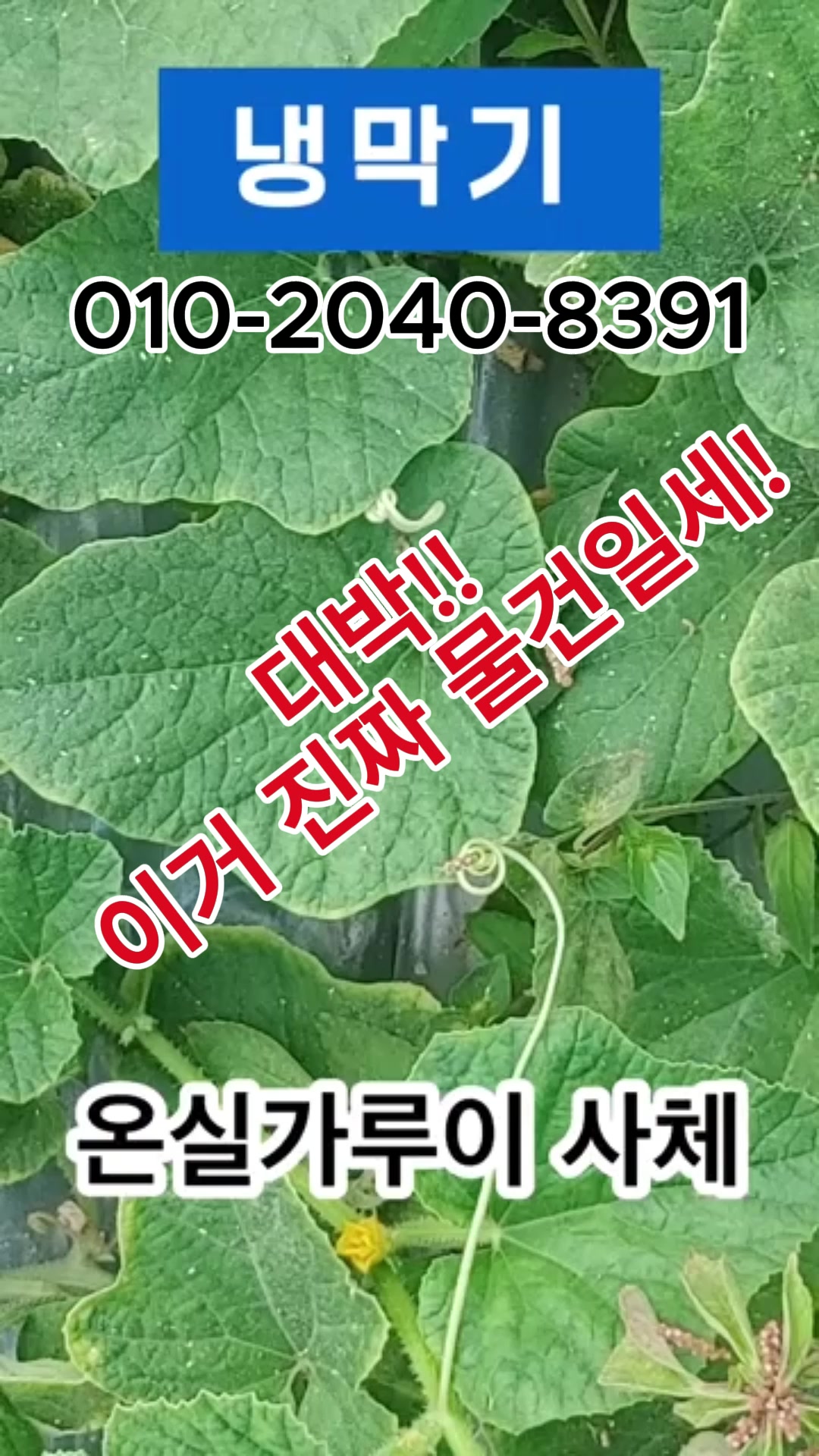 @농사는 장비빨
