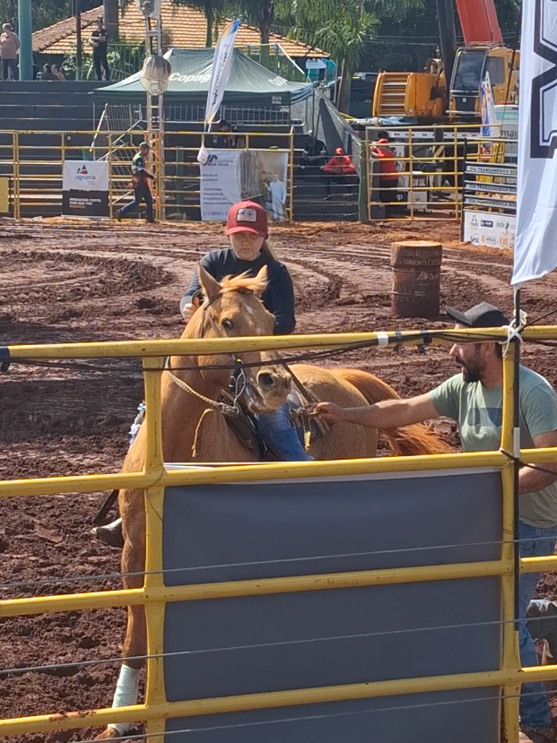 @rodeo