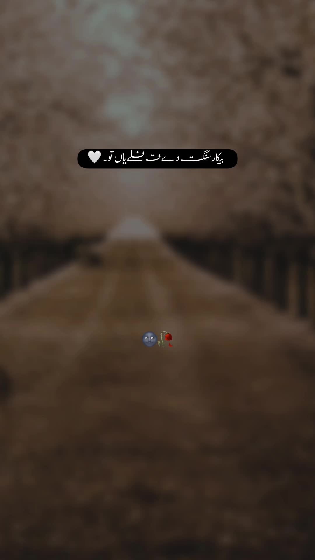 @𝐓ʜᴇ 𝐌ᴏᴏɴ🖤