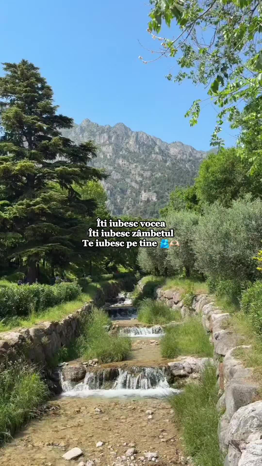 @Crișan Bogdan