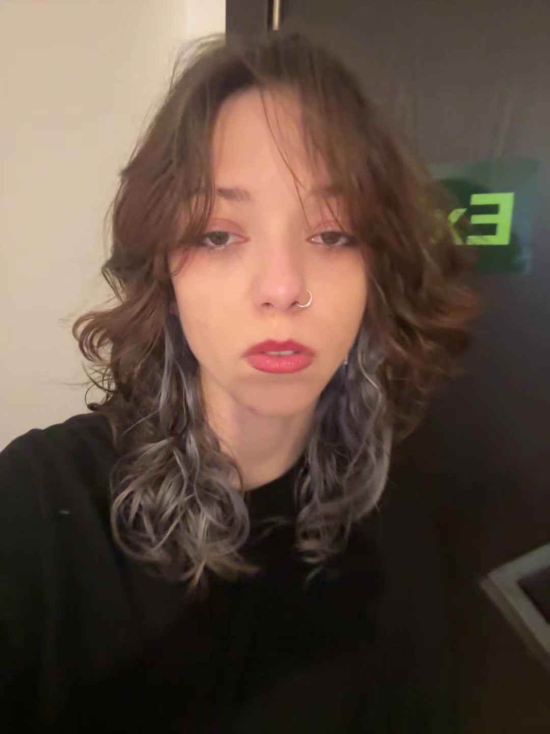 @briserica