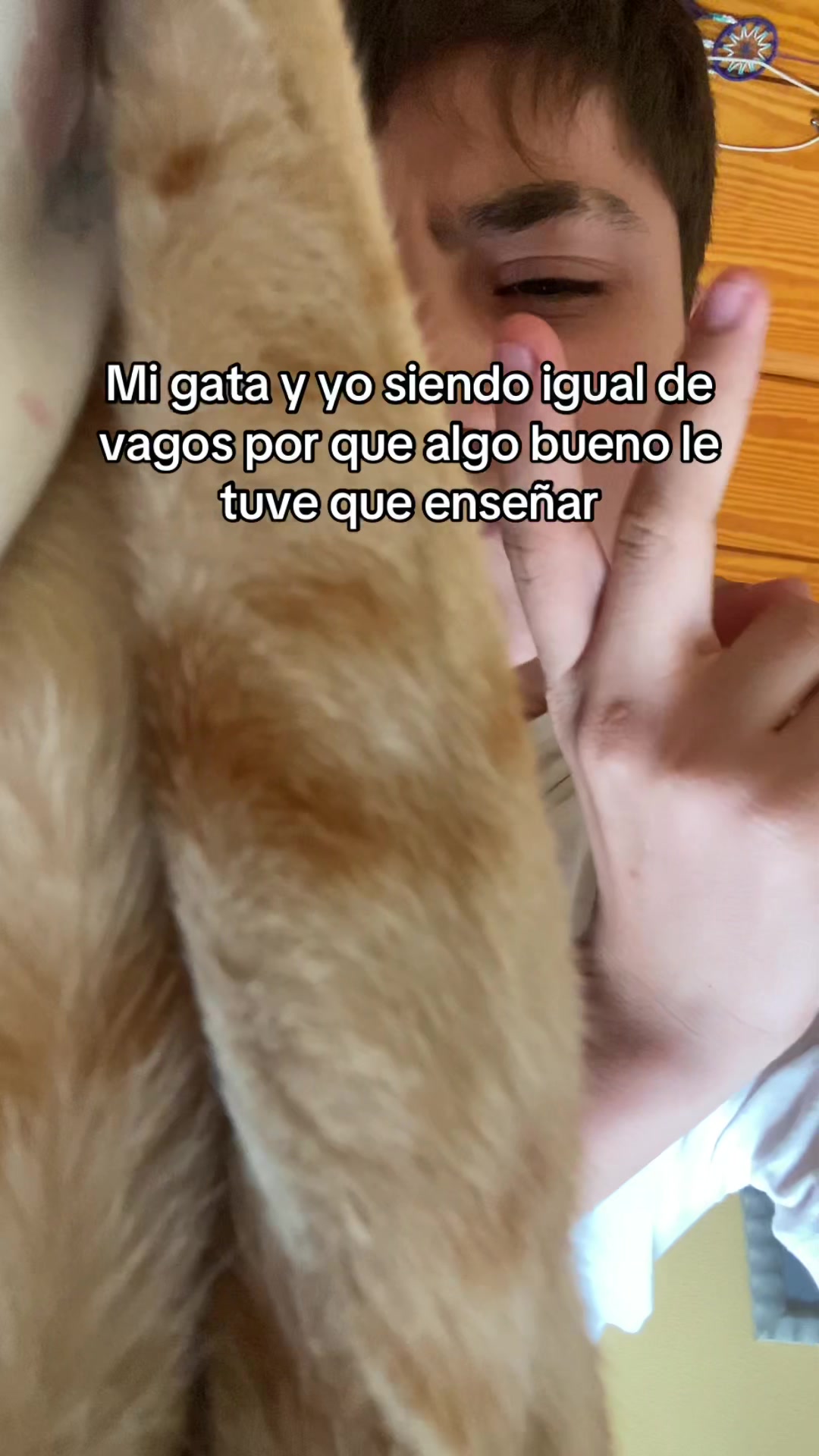 @爱