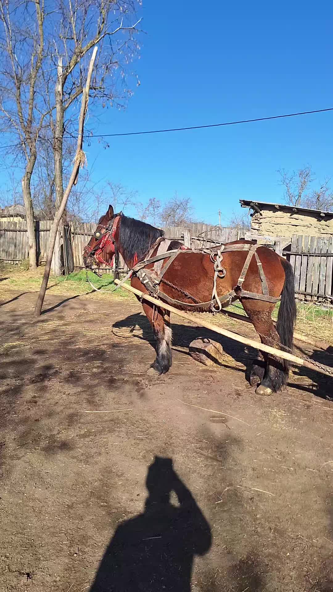 @𝚁ă𝚣𝚟𝚊𝚗❤️