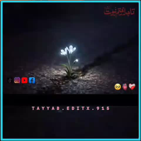 @☝️⭐༄گمنام مجاھد༄⭐💫