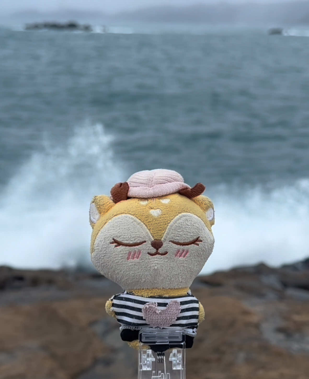@Rena Bonita
