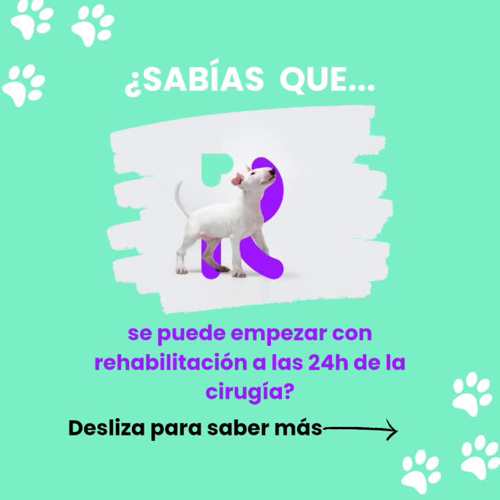 @Reanimalia