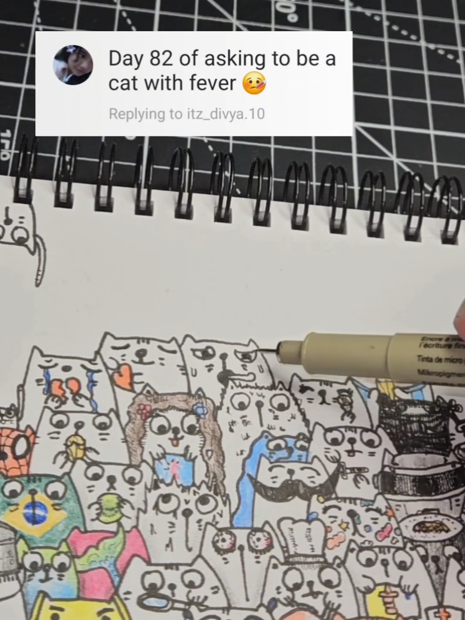 @StackofCatz