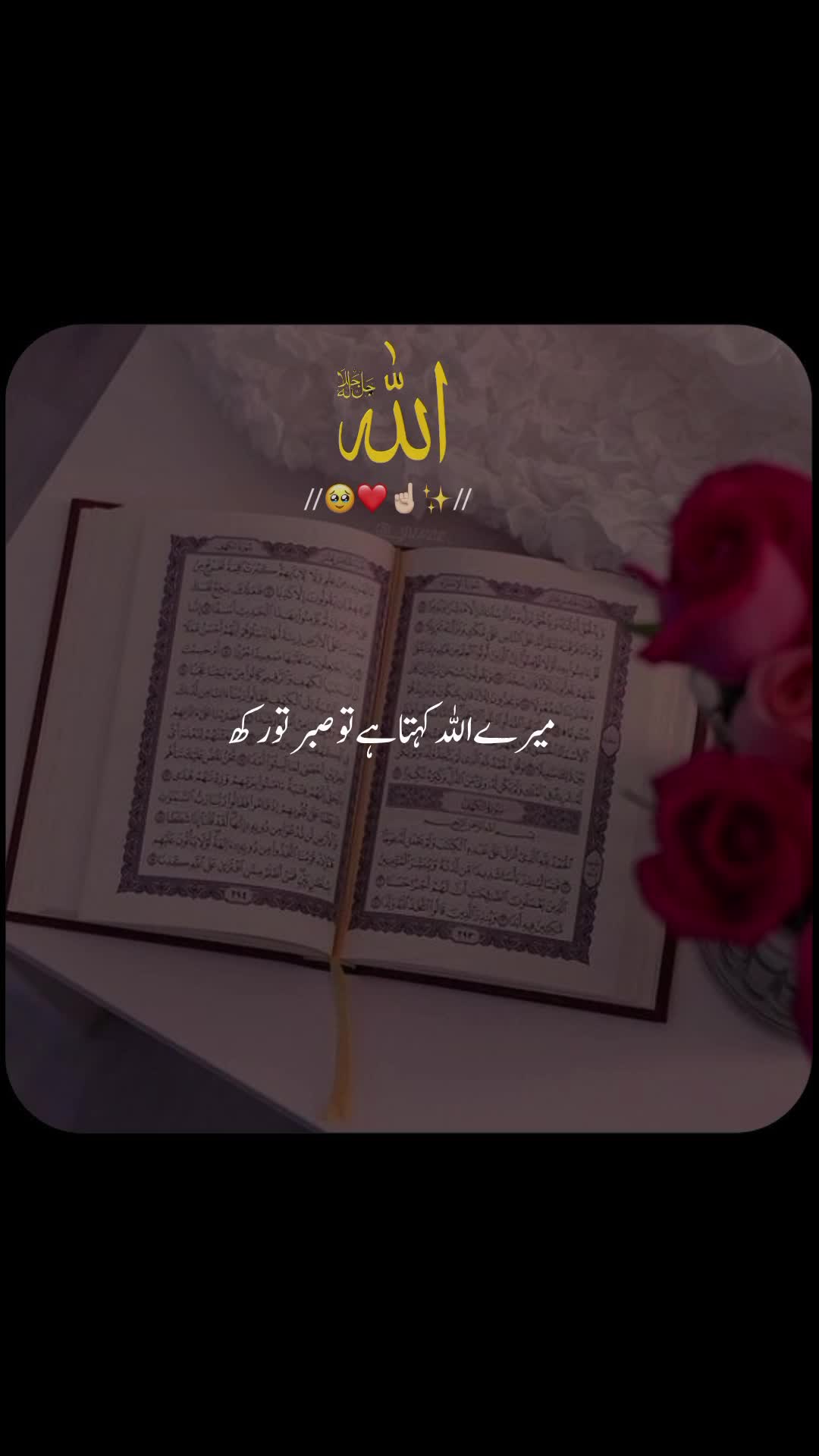 @𝐀𝐤𝐦𝐚𝐥_𝐄𝐝𝐢𝐭𝐬